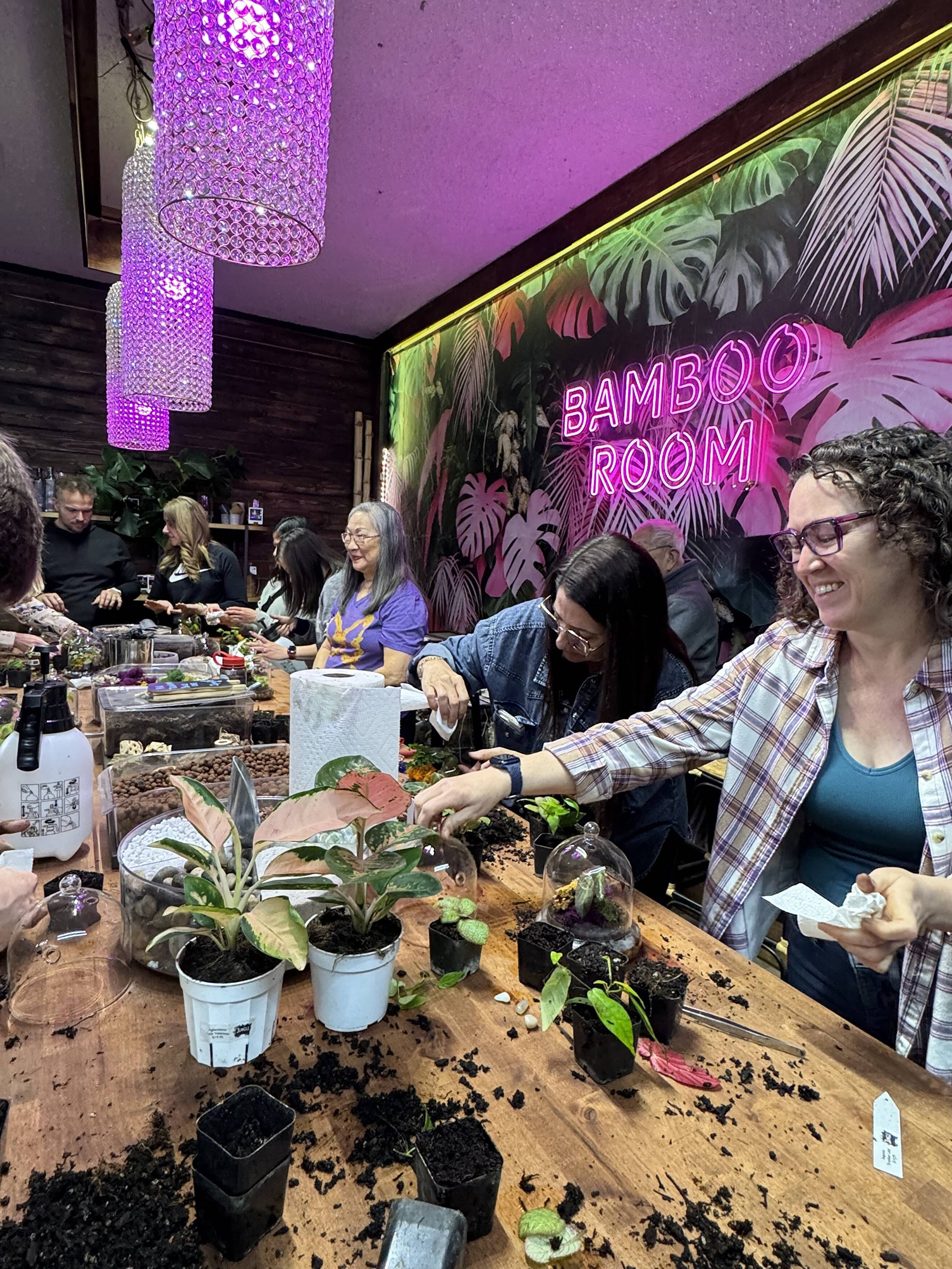 Phoenix Plant Store | Jungle Box